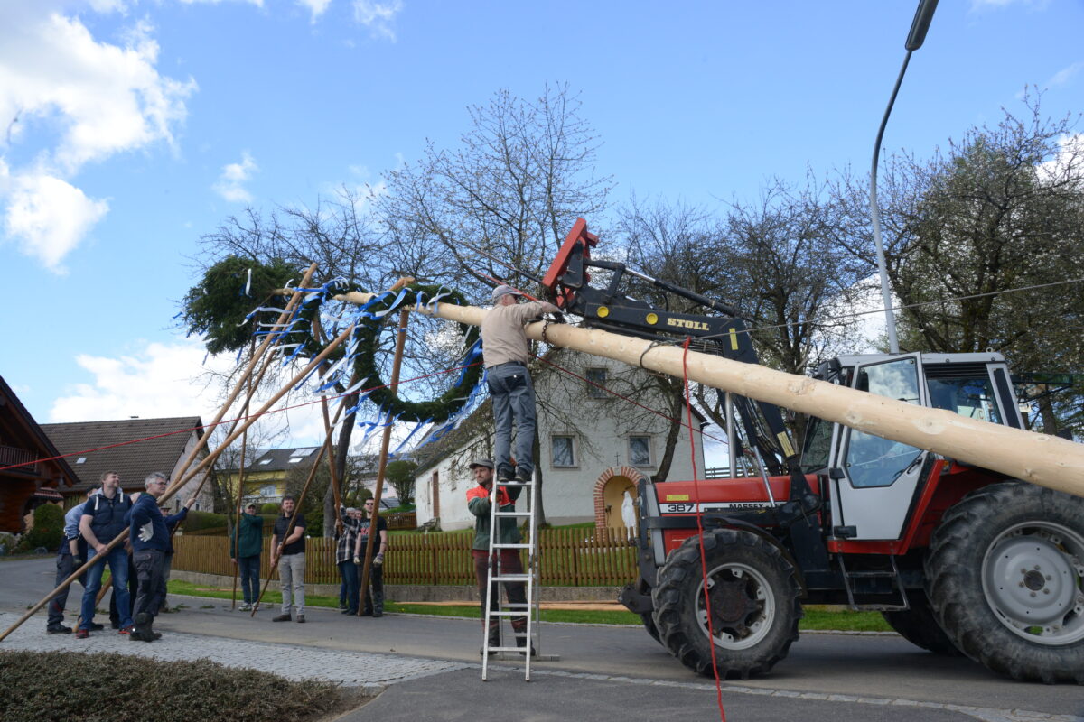 Mit Muskelkraft und maschineller Unterstützung stellte man in Vöslesrieth den Maibaum auf. Foto: Walter Beyerlein