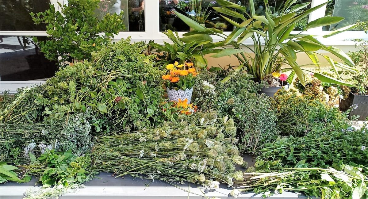 Kräuter und Blumen von Wiesen und aus Gärten dienen als Grundstock für die Kräuterbuschen an Maria Himmelfahrt. Foto Kathrin Müller