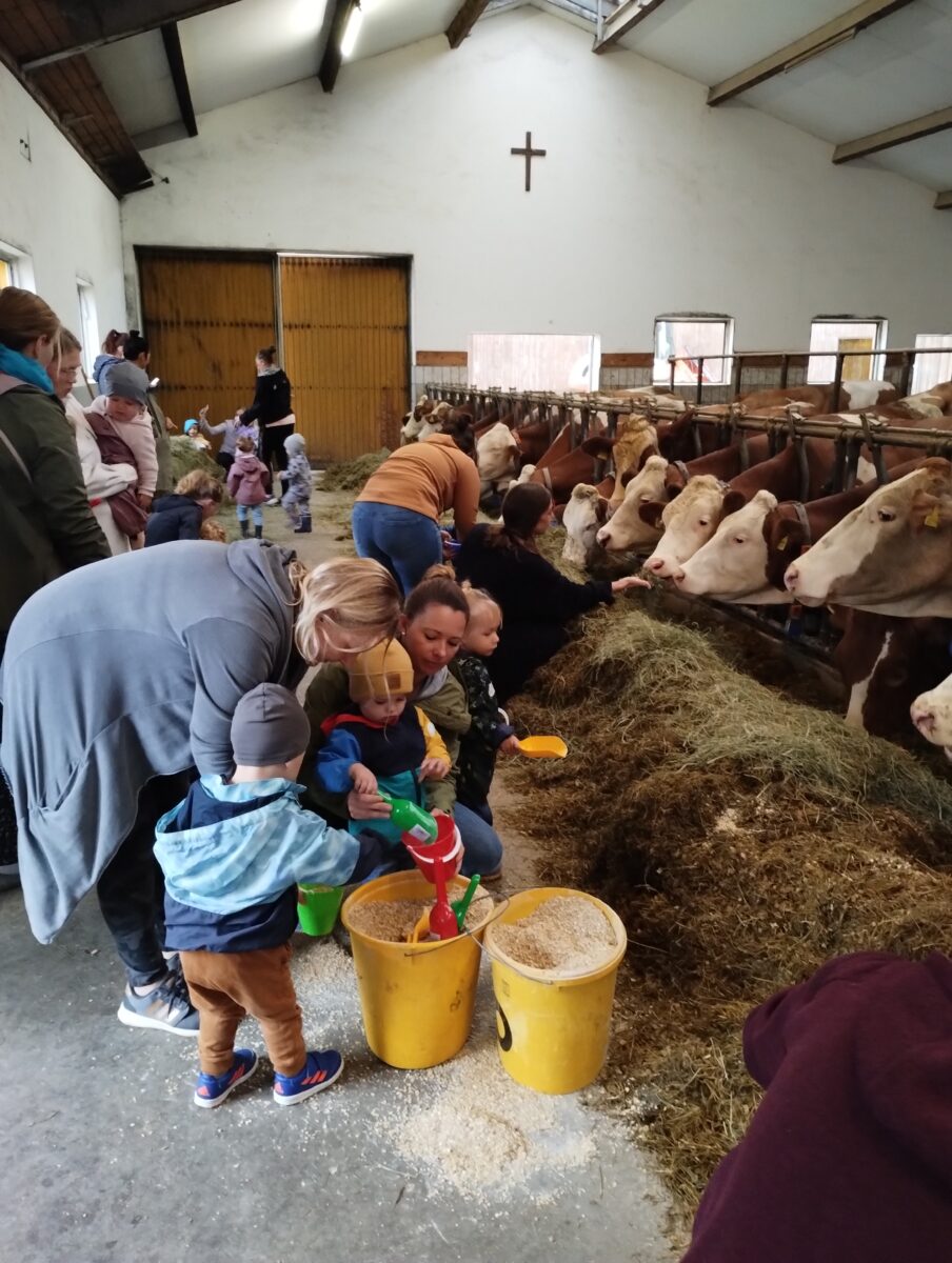 Neugierig und angstfrei beteiligen sich die Kleinen bei der Fütterung der Kühe. Foto: Hans Kneißl