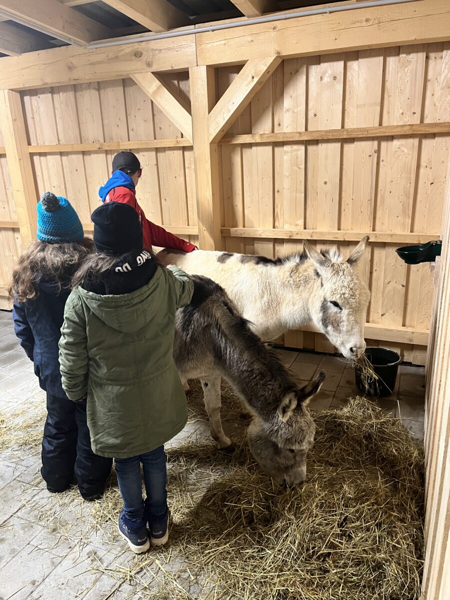 Die Kinder und Jugendlichen vom Meierhof haben die beiden Esel Luigi und Fridolin in ihr Herz geschlossen. Foto: Michaela Schreml