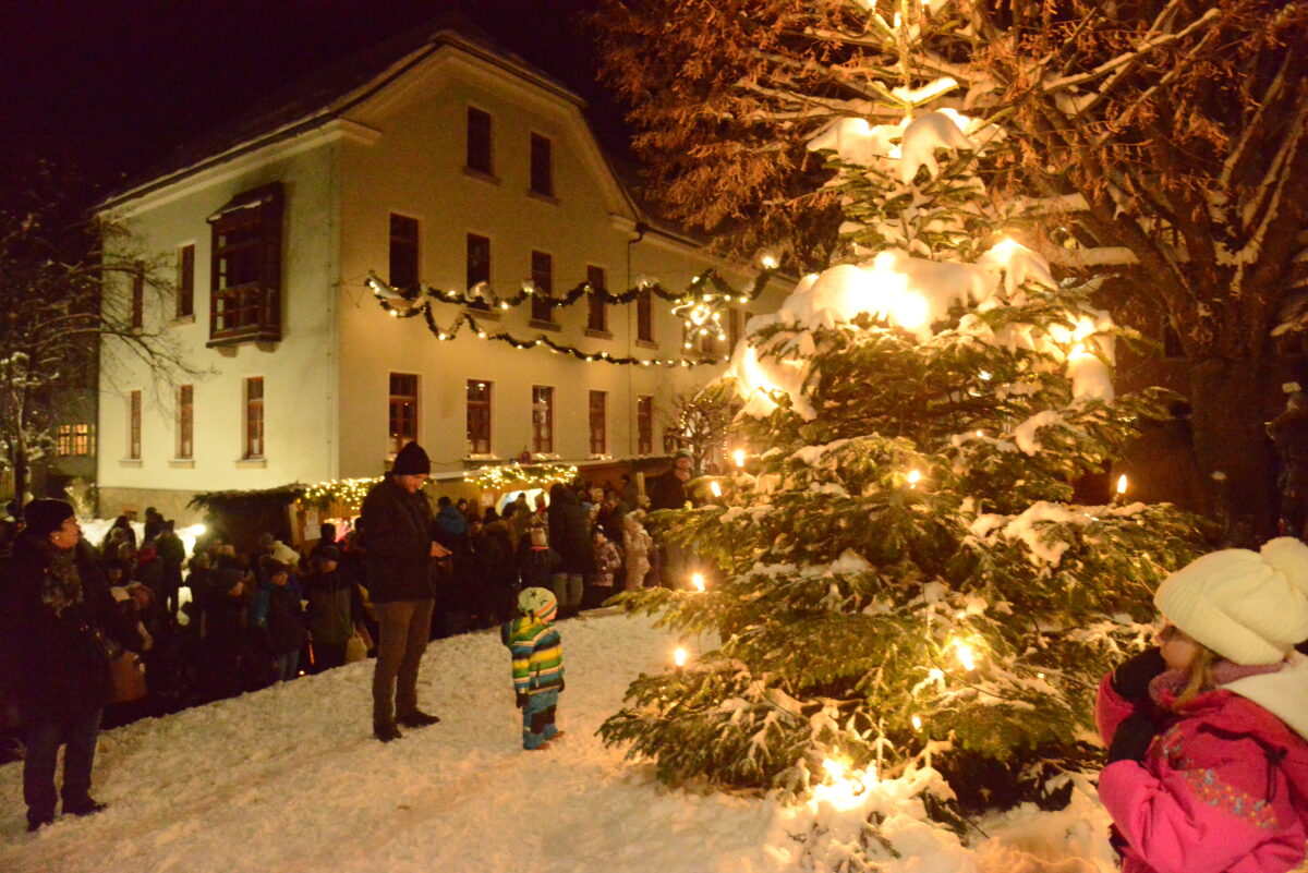 Der beleuchtete Weihnachtsbaum verströmt festlichen Glanz. Foto: Walter Beyerlein