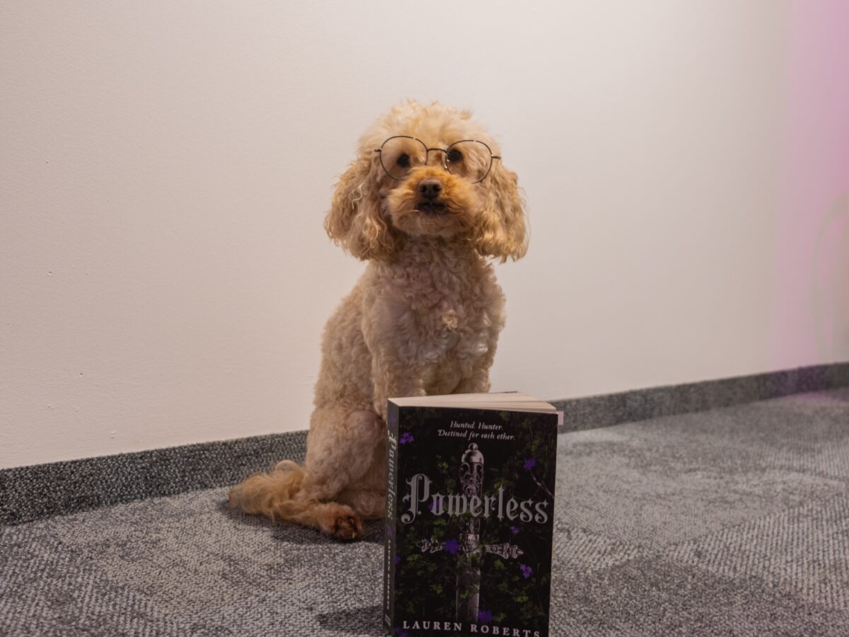 Unser Bürohund Nikki ist auch sehr angetan von dem Buch. Foto: Andrea Schreiber