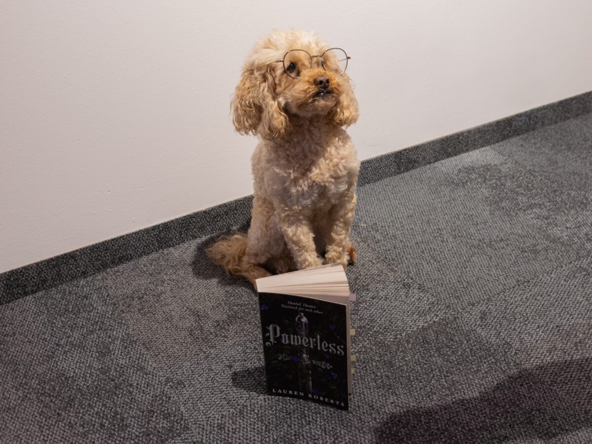 Unser Bürohund Nikki ist auch sehr angetan von dem Buch. Foto: Andrea Schreiber