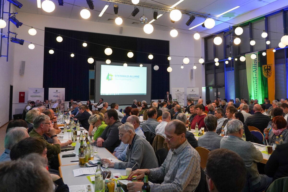 Circa 180 kommunale Mandatsträger der 17 Mitgliedskommunen versammelten sich zur Jubiläumssitzung in der Stadthalle Erbendorf. Bild: Steinwald-Allianz