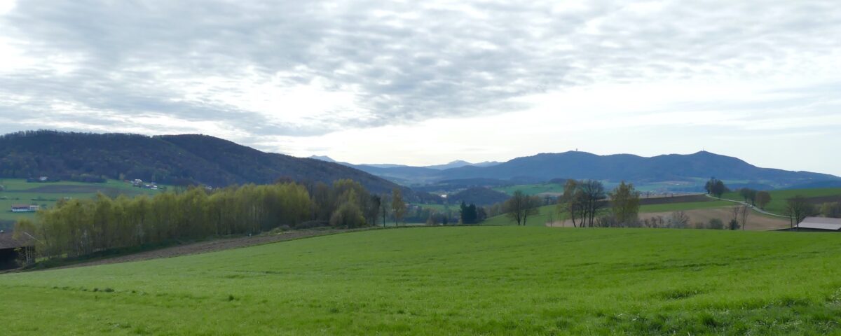 Das Panorama am Ausgangspunkt reicht vom Osser über den Arber zum Hohen Bogen. Foto: Lorna Simone Baier 