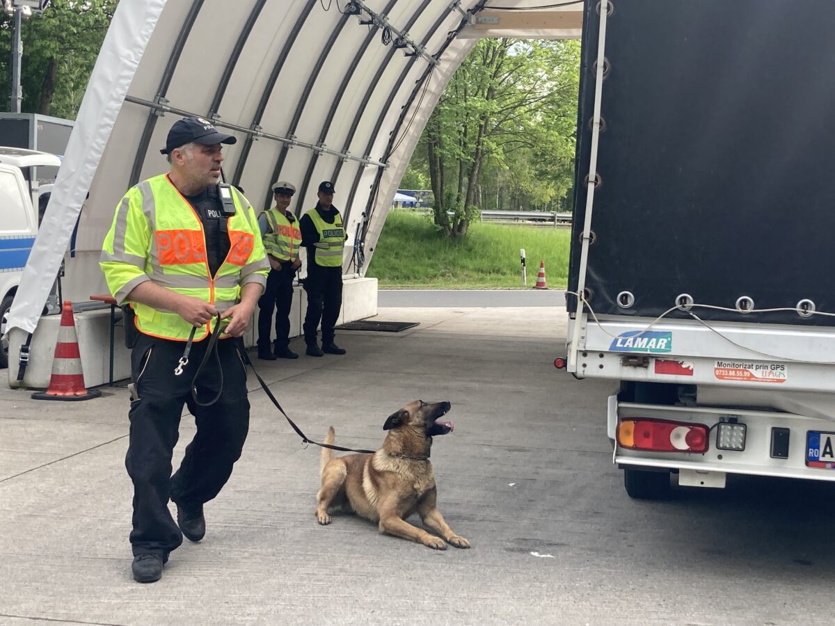 Grenzkontrolle an der A6: Ein Spürhund an der Kontrollstelle der Bundespolizei am Ulrichsberg bei Waidhaus. Foto: Christine Ascherl